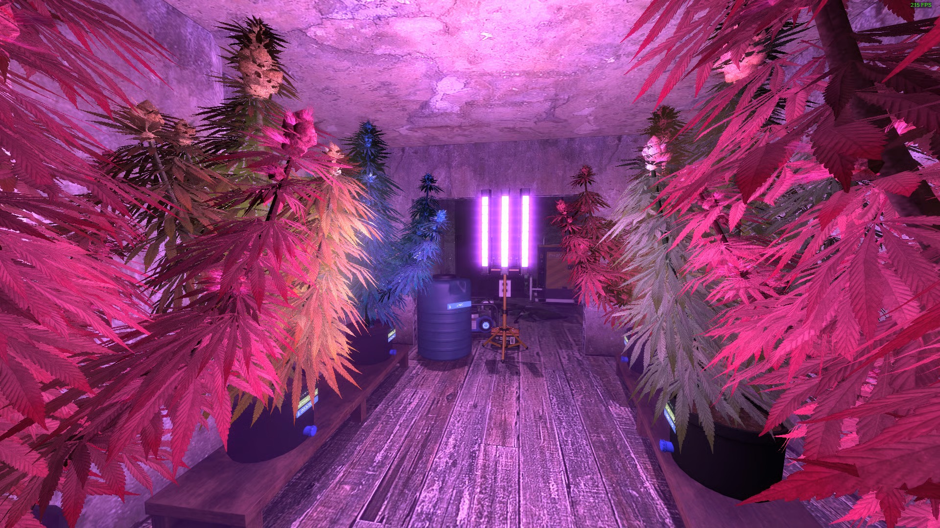 Indoor Growing in JealousRP